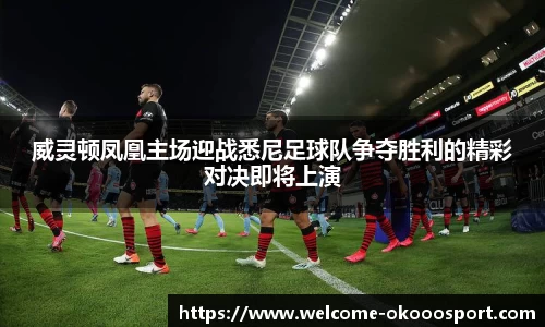 威灵顿凤凰主场迎战悉尼足球队争夺胜利的精彩对决即将上演