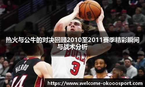 热火与公牛的对决回顾2010至2011赛季精彩瞬间与战术分析